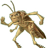 Avatar de l’utilisateur