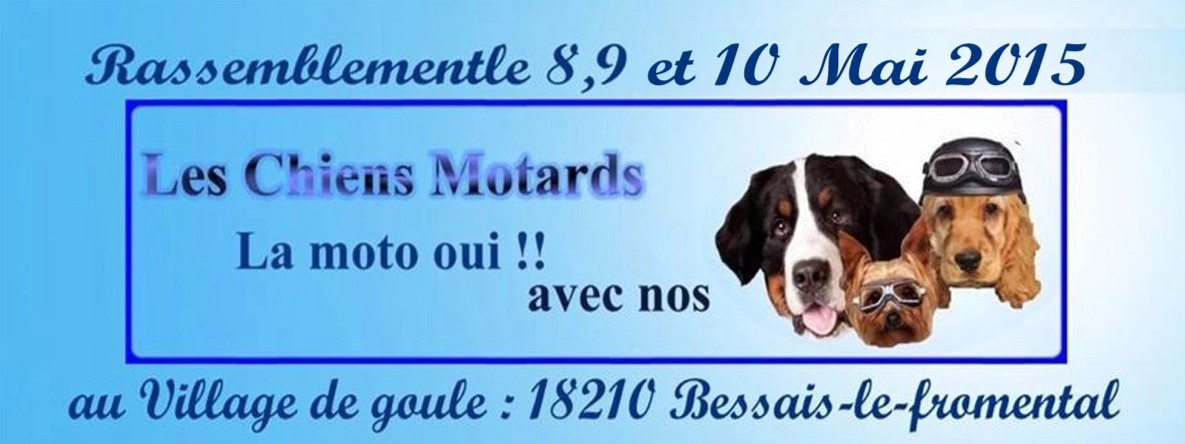 forum chien rencontre